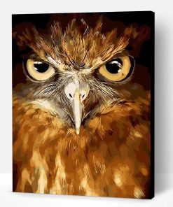 Owl Animals Paint By Number