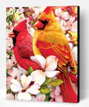 Cardinals Birds Paint By Number