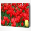 Red Tulip Flowers Paint By Number