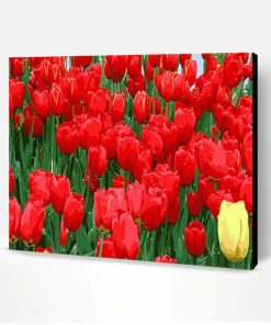 Red Tulip Flowers Paint By Number