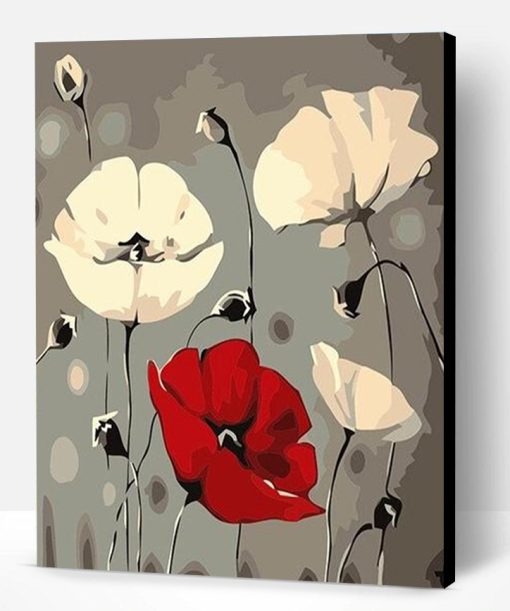 Red White Poppy Flowers Paint By Number