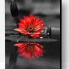 Red Black Flower on Water Paint By Number