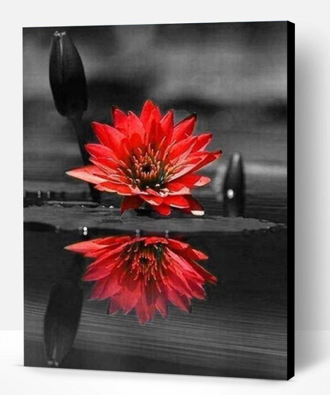 Red Black Flower on Water Paint By Number