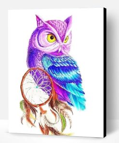 Owl Dream Catcher Paint By Number