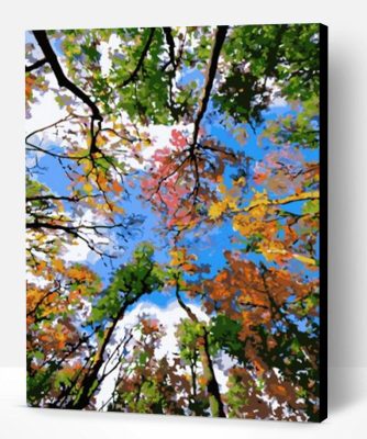 The Sky of Trees Paint By Number