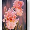 Rose Flower Hand Painted Abstract Oil Painting Paint By Number