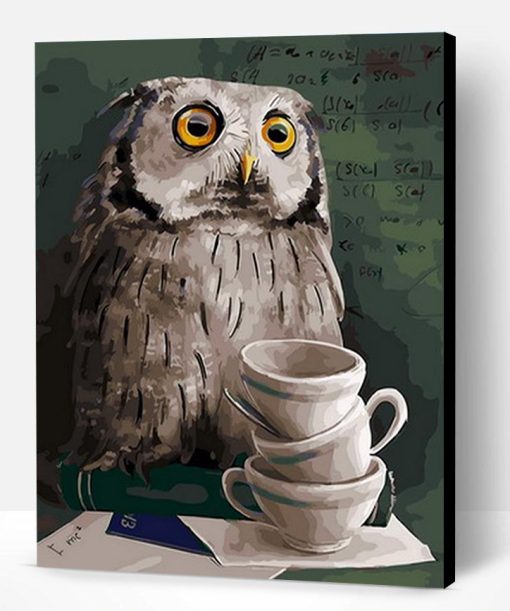 Owl Studied Paint By Number