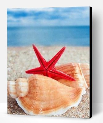 Shells and Starfish on Beach Paint By Number