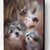Shih Tzu Dogs Paint By Numbers