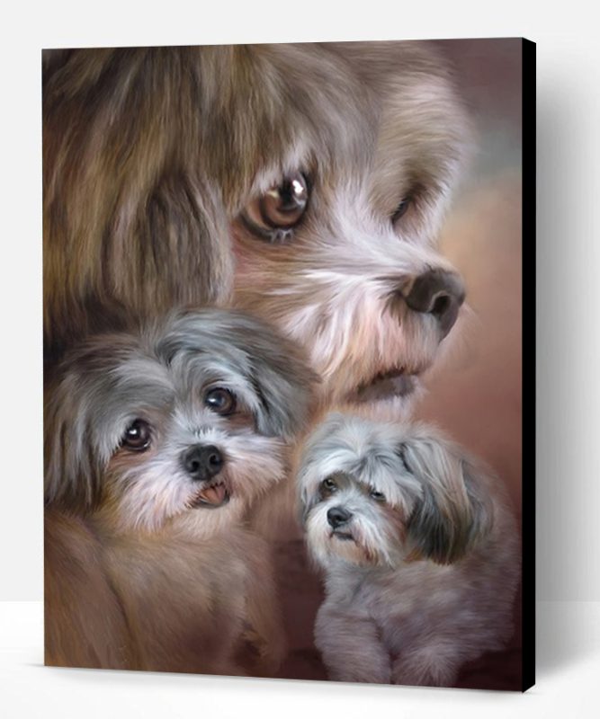 Shih Tzu Dogs Paint By Numbers