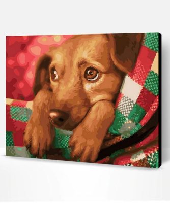 Christmas Dog Paint By Number