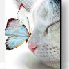 Cat and Butterfly Paint By Number