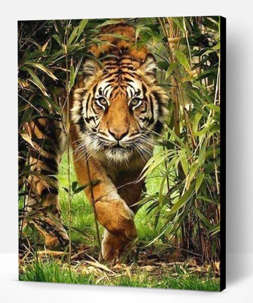 Tiger in The Bush Paint By Number