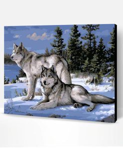 Snow Gray Wolves Paint By Number