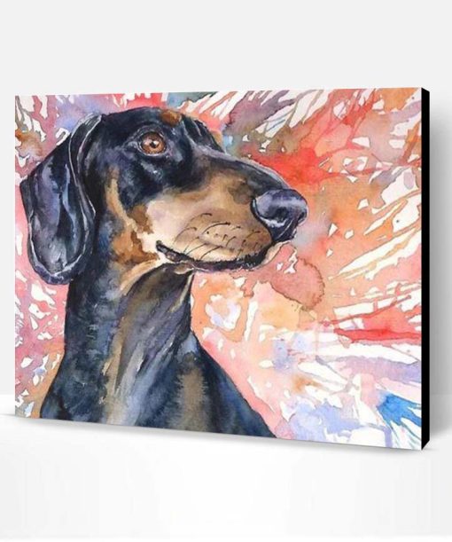 Splatter Dachshund Dog Paint By Number