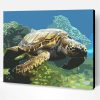 Sea Turtle Swims Paint By Number