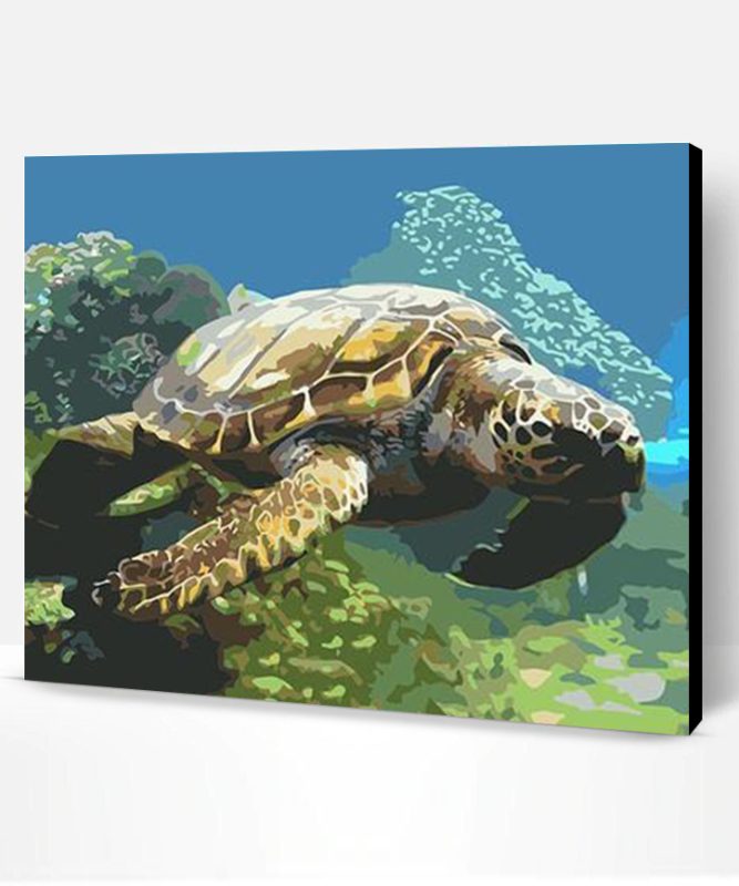 Sea Turtle Swims Paint By Number