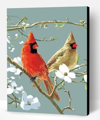 Cardinals Bird Paint By Number