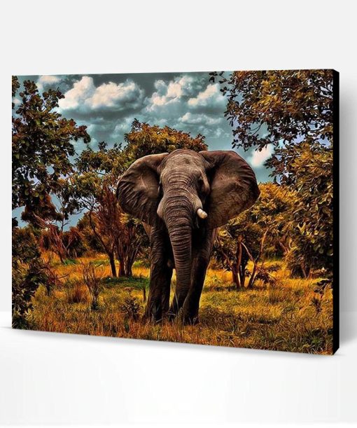 Wild Elephant Paint By Number