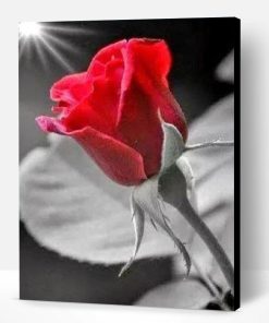 Wonderful Morning Red Rose Paint By Number