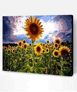 Nature Sunflowers Paint By Number