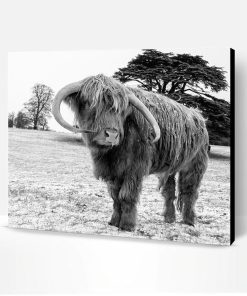 Zimal Highland Cows Paint By Number