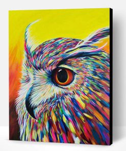 Owl Portrait Paint By Number