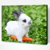 Cute Bunny Paint By Number