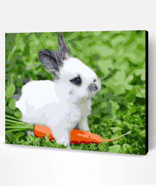 Cute Bunny Paint By Number