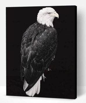Black and White Eagle Paint By Number