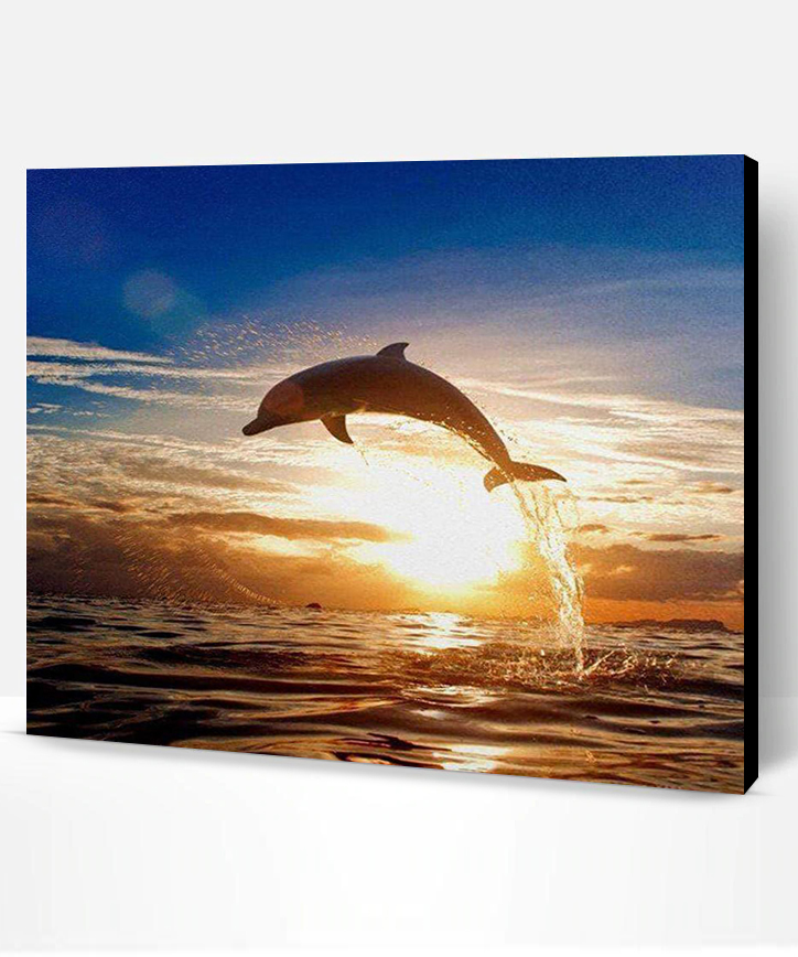 Dolphin Sunset Animals Paint By Number Paint By Numbers PRO