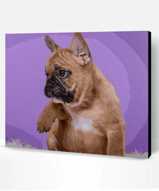 French Bulldog Paint By Number