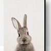 Grey Rabbit Paint By Number