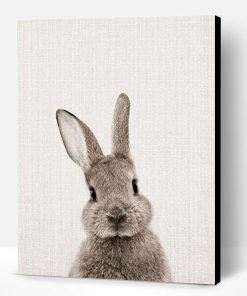 Grey Rabbit Paint By Number