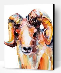 Male Sheep Paint By Number