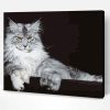 Maine Coon Cat Paint By Number