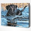 Black Dog Swimming Paint By Number