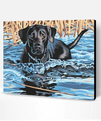 Black Dog Swimming Paint By Number