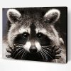 Raccoons of Costa Rica Paint By Number