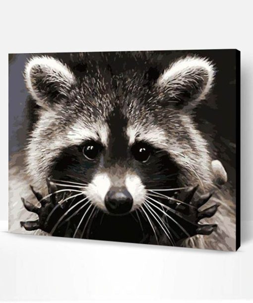 Raccoons of Costa Rica Paint By Number