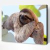 Sloth Laying on a Branch Paint By Number