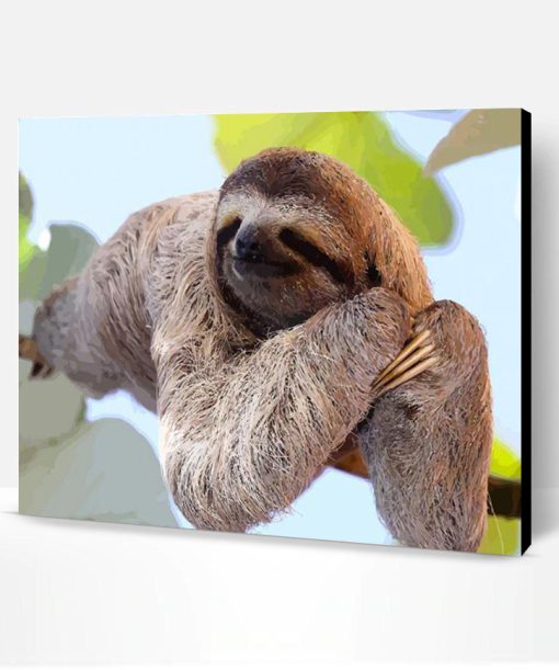 Sloth Laying on a Branch Paint By Number