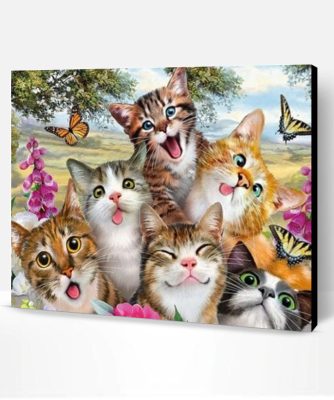 Funny Cats With Butterflies Paint By Number