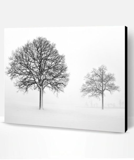 Black And White Trees Paint By Number