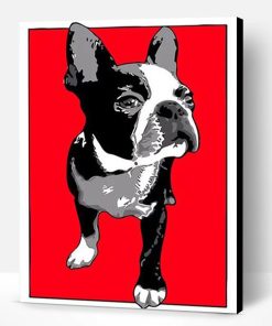 Boston Terrier Dog Paint By Number