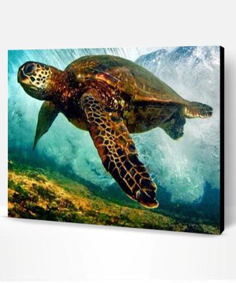 Sea Turtle Under Sea Paint By Number