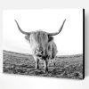 Wild Highland Cow Paint By Number
