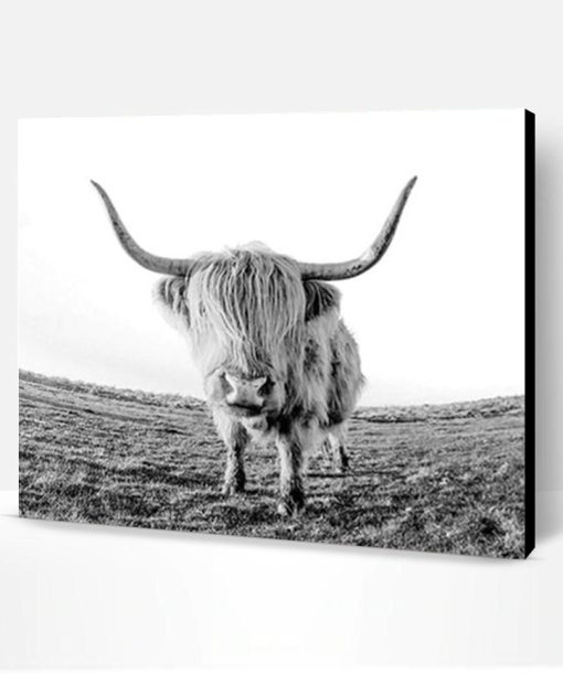 Wild Highland Cow Paint By Number