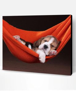 Dog Sleeping in Hammock Paint By Number