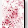 Cherry Blossoms Paint By Number